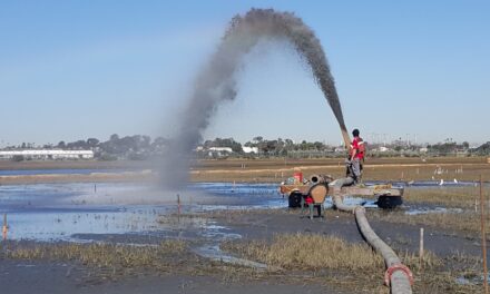 Three Ways to Feed the Marsh