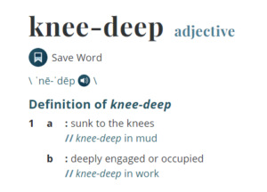 Knee-Deep Definition