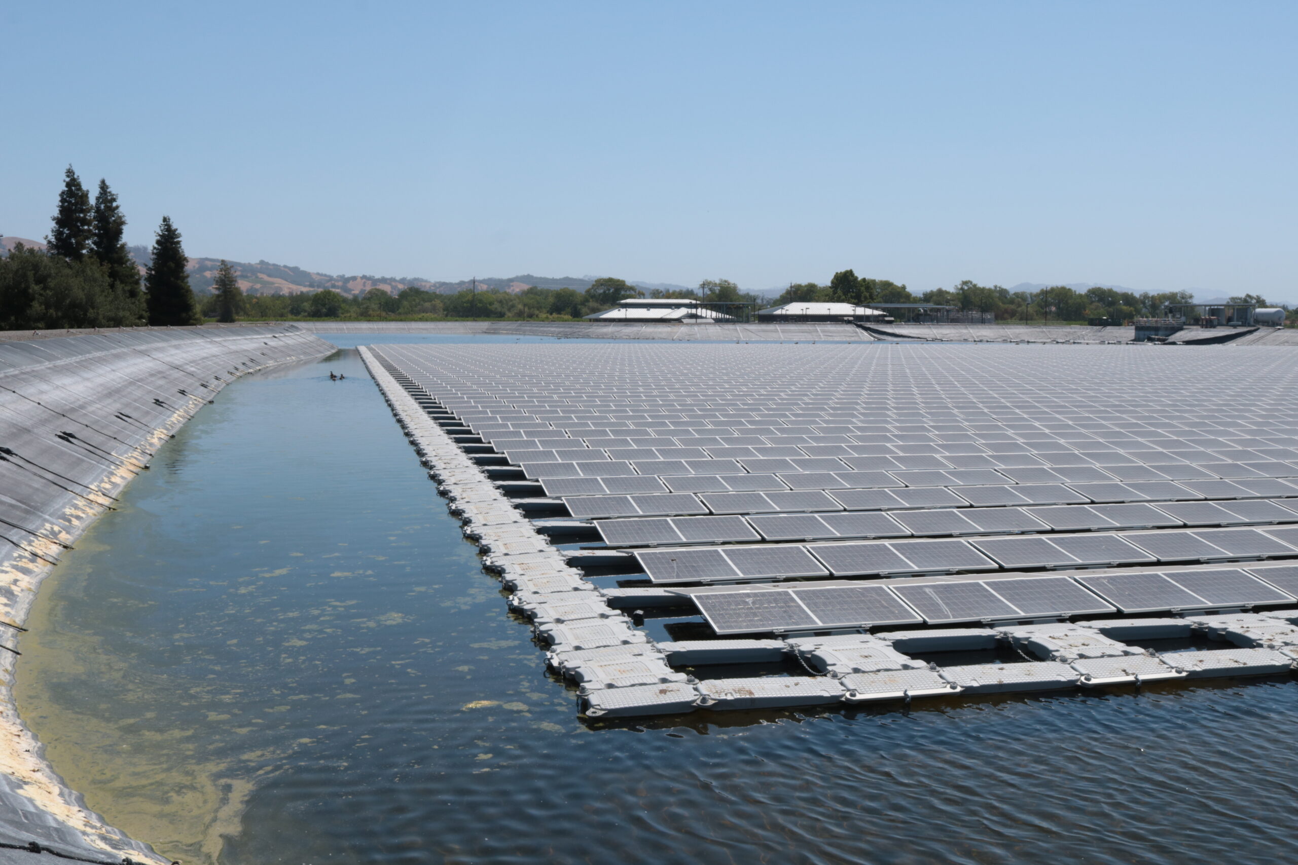 Solar panels float or sit in the pond in both dry and wet conditions. Photo courtesy City of Healdsburg