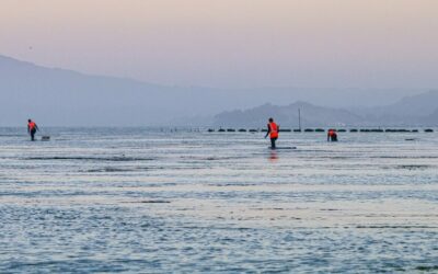 Bi-Coastal Experiment with Oysters & Infrastructure