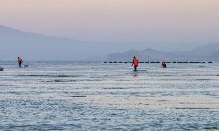 Bi-Coastal Experiment with Oysters & Infrastructure