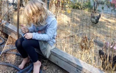 North Bay Towns Embrace Drought Gardens