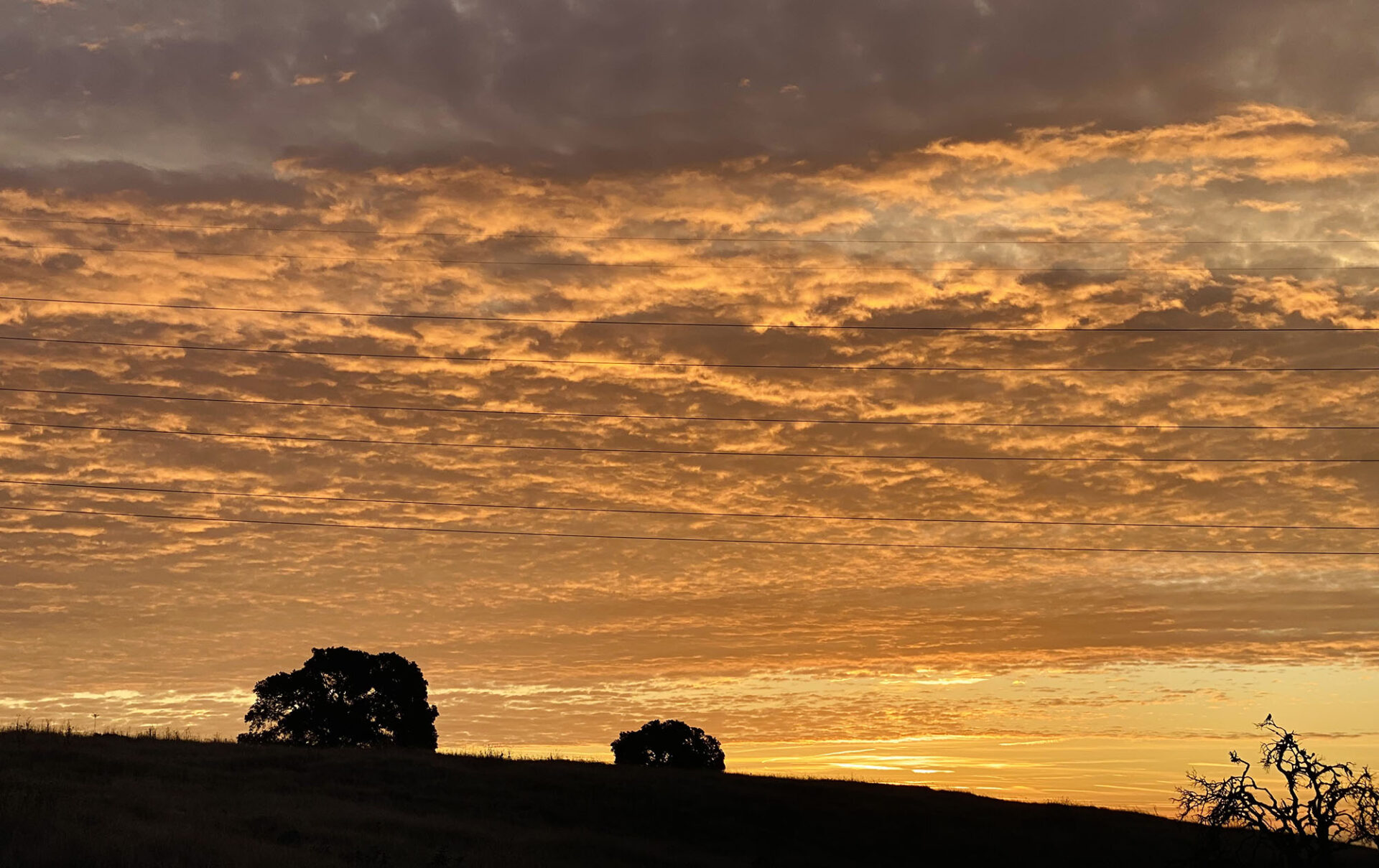 October 2024 Fall in California teases residents with hot winds, Red Flag days, marine layers, yellowing vineyards, bad air quality, and pumpkin patch sunsets.