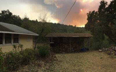 Yell Fire on a Community Network