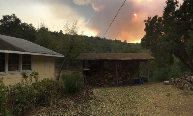 Yell Fire on a Community Network