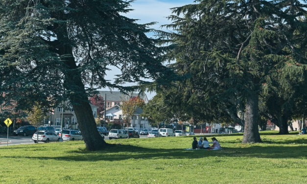 Trees Tell A Tale of Two Cities