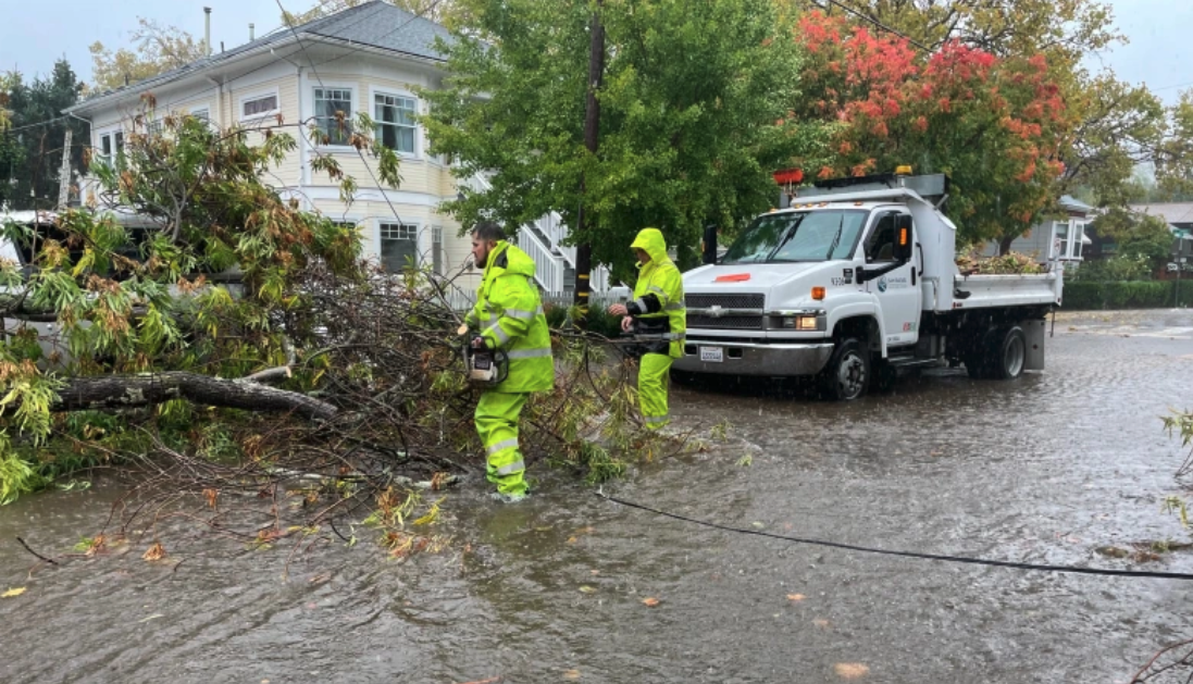 crew clearing fallen trees in San Rafael