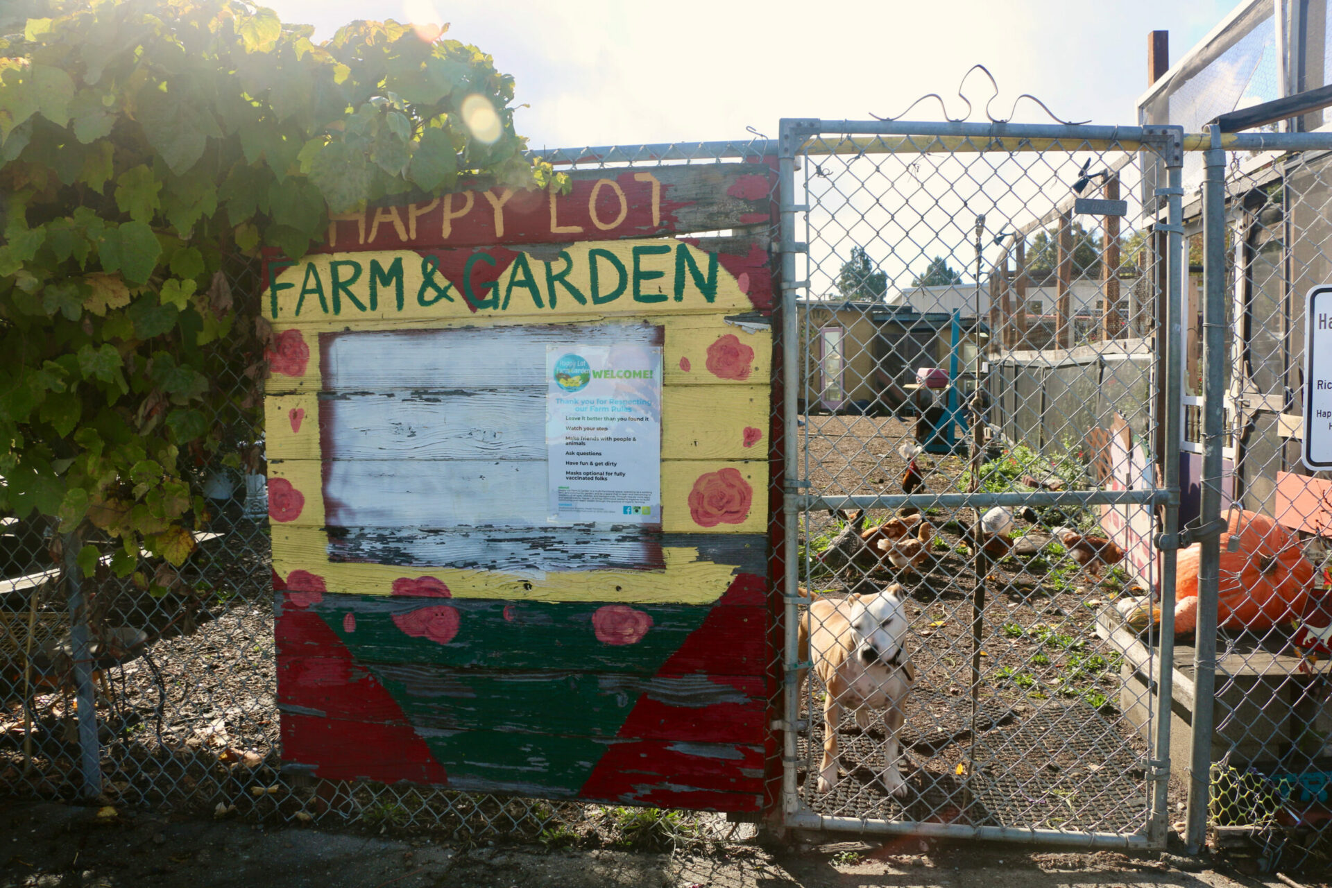 Urban refuge in Richmond, California. Photo: Brittany Zendejas