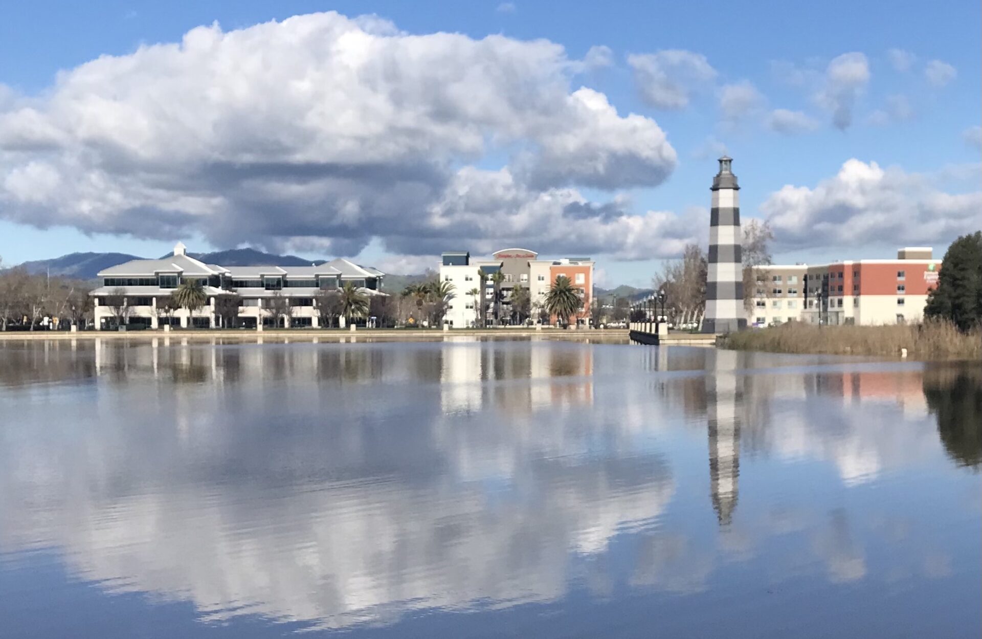 Suisin City's waterfront reflected in the slough.