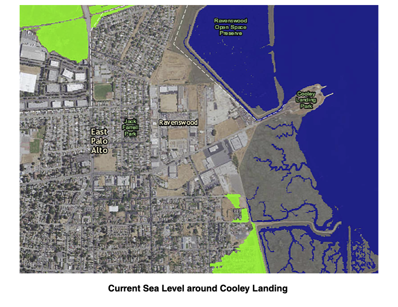 Map of East Palo Alto with the San Francisco Bay in dark blue and low-lying areas susceptible to flooding in green.