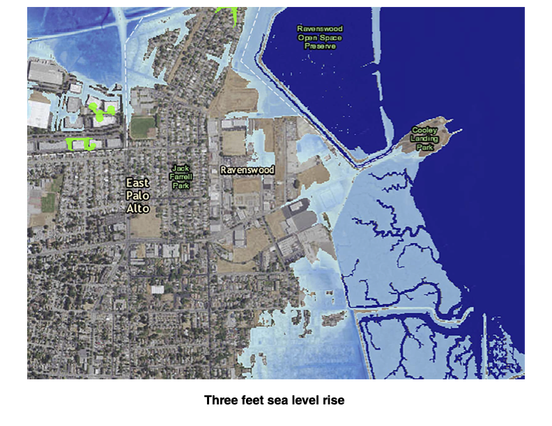 Map of East Palo Alto with three feet of sea level rise relative to the early 2000s. The San Francisco Bay is in dark blue, areas that would become part of the bay in this scenario are in light blue, and low-lying areas susceptible to flooding are in green.