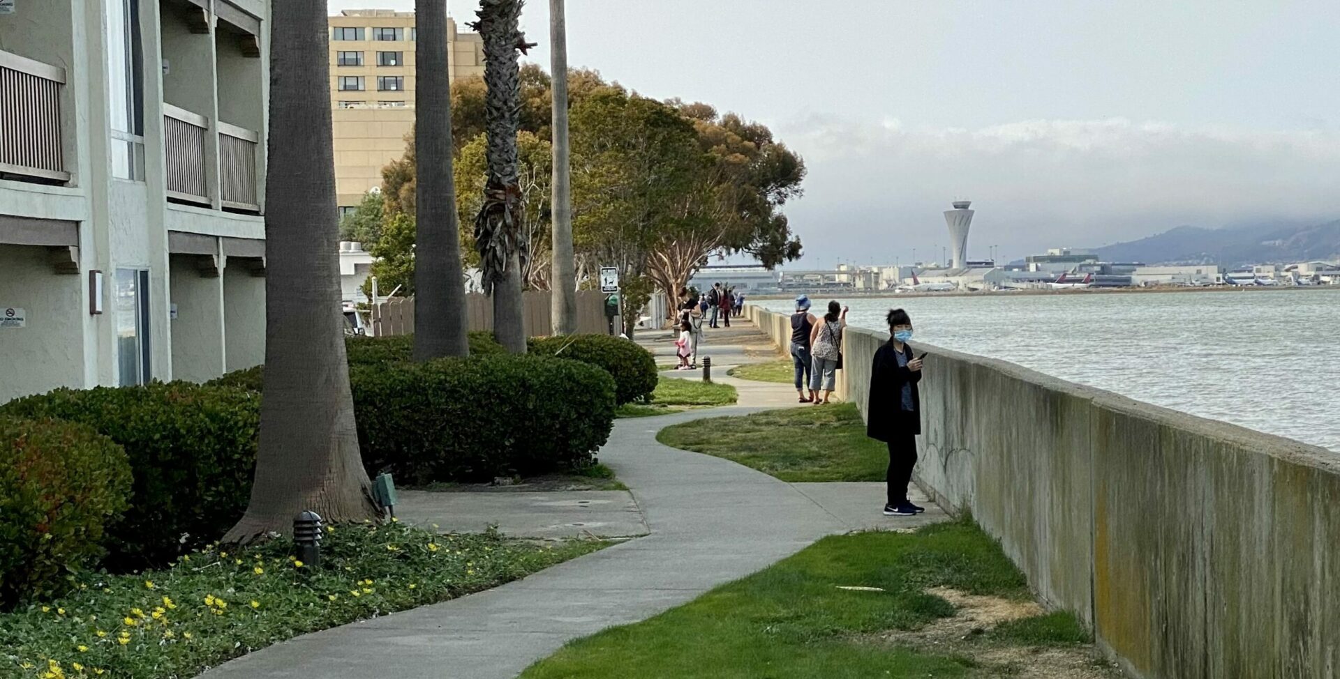 Recent king tide laps at the Burlingame seawall.