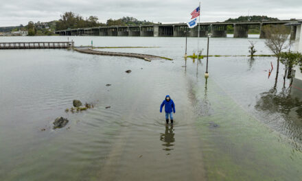 Royally Flooded: Dispatches from the Highest Tides