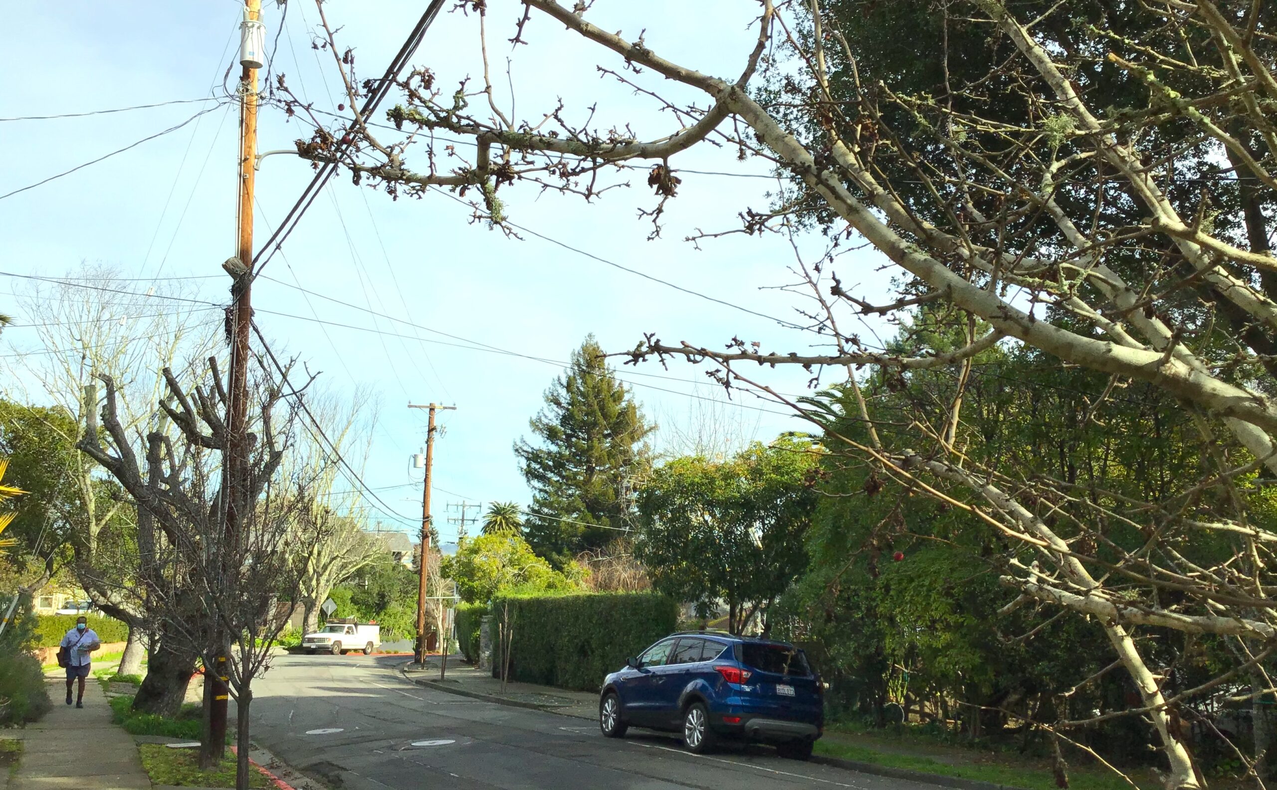 Corte Madera’s Redwood Avenue is a tight squeeze for fleeing cars and arriving fire trucks in the event of fire.