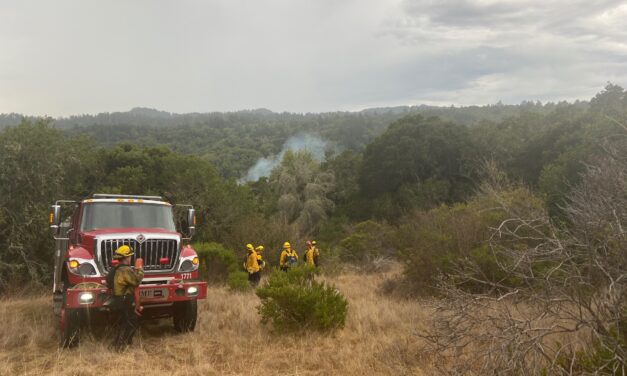 Chasing the Fireline