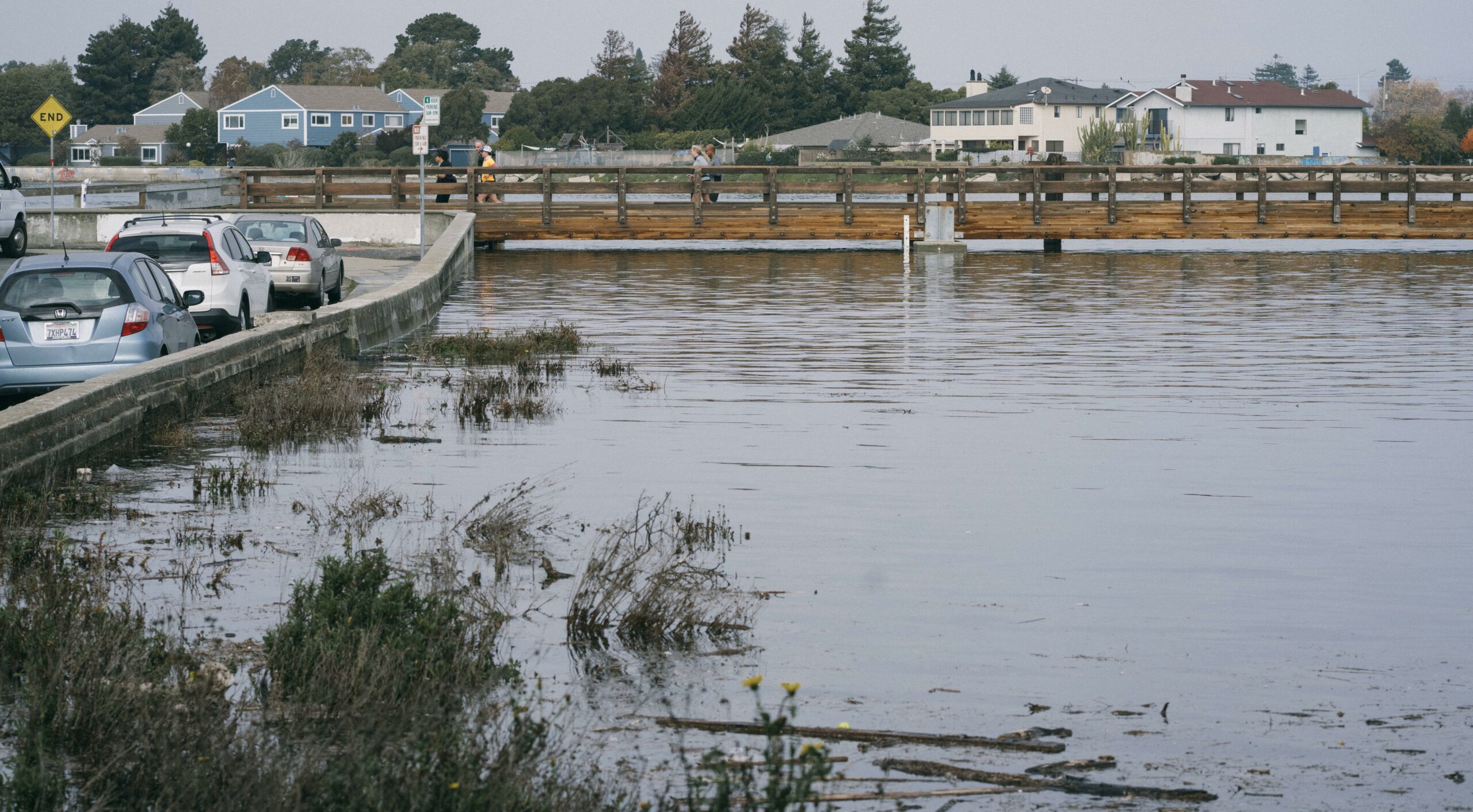 Veterans Court is just one of many low-lying, flood-prone coastal access points on the Oakland-Alameda shore, spots that have also become treasured local open space during the pandemic. Photo: Maurice Ramiurez