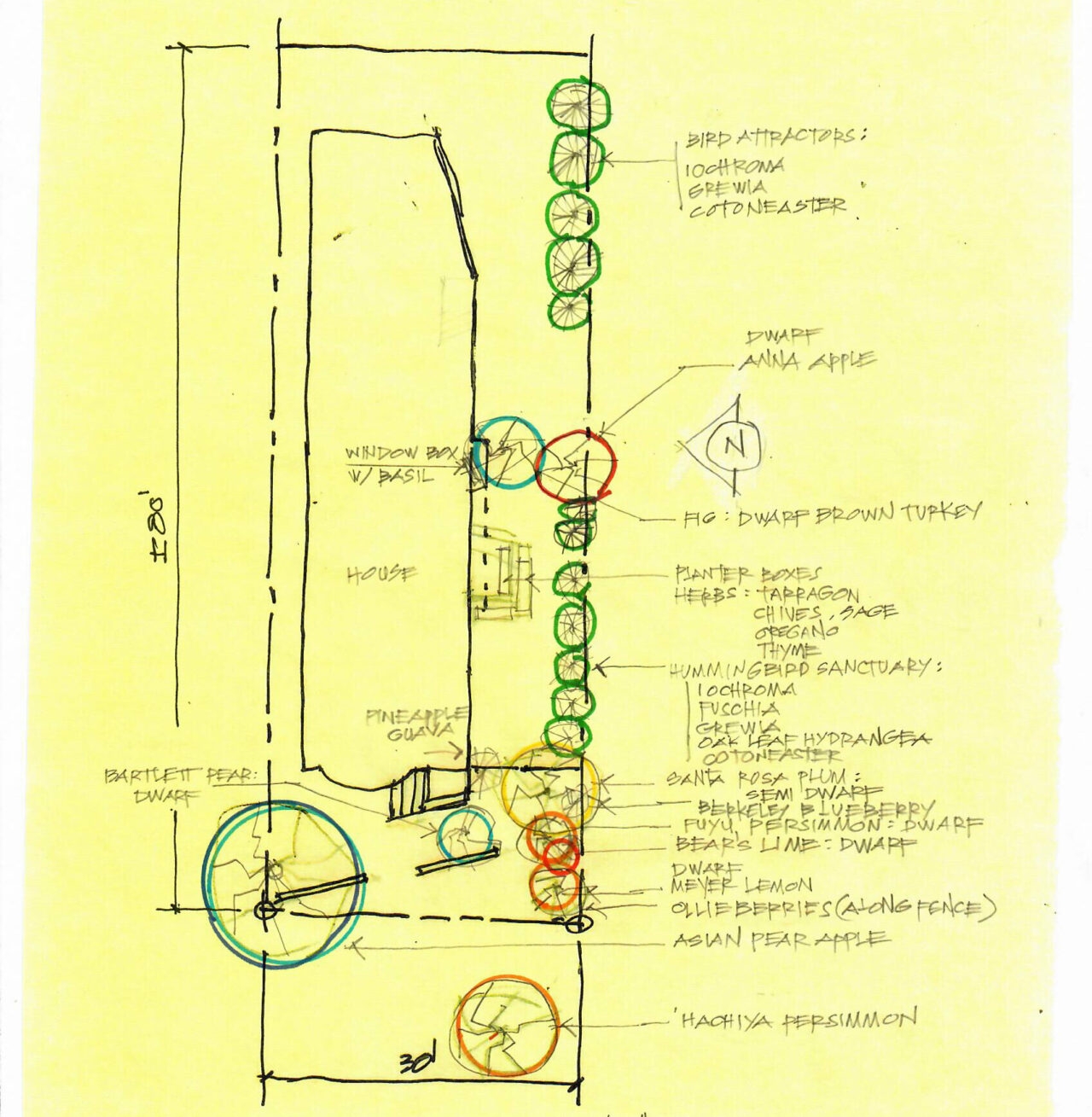 Map of driveway planting palette