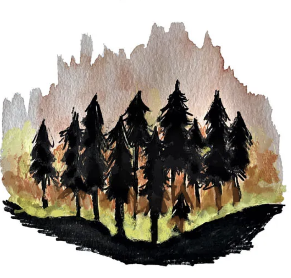 watercolor of trees and fire