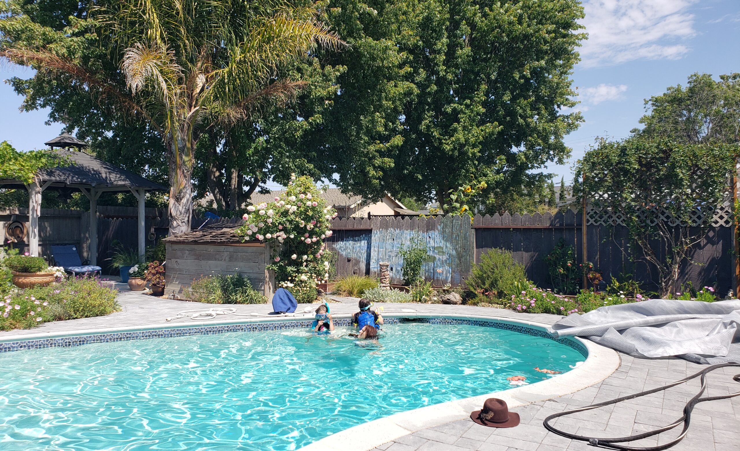 pool scene in sonoma