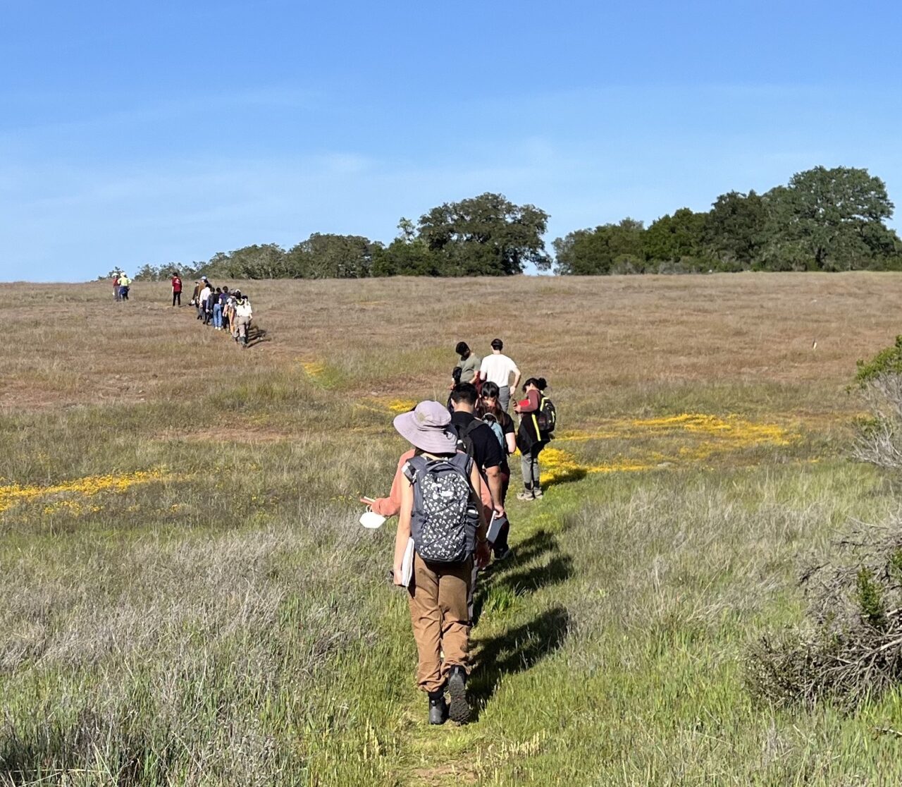 hikers on Jasper Ridge