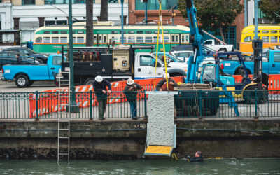 Could Textured Tiles Bring SF Seawall to Life?