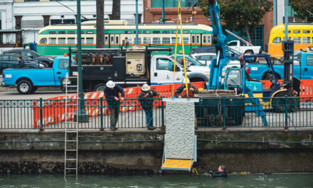 Could Textured Tiles Bring SF Seawall to Life?