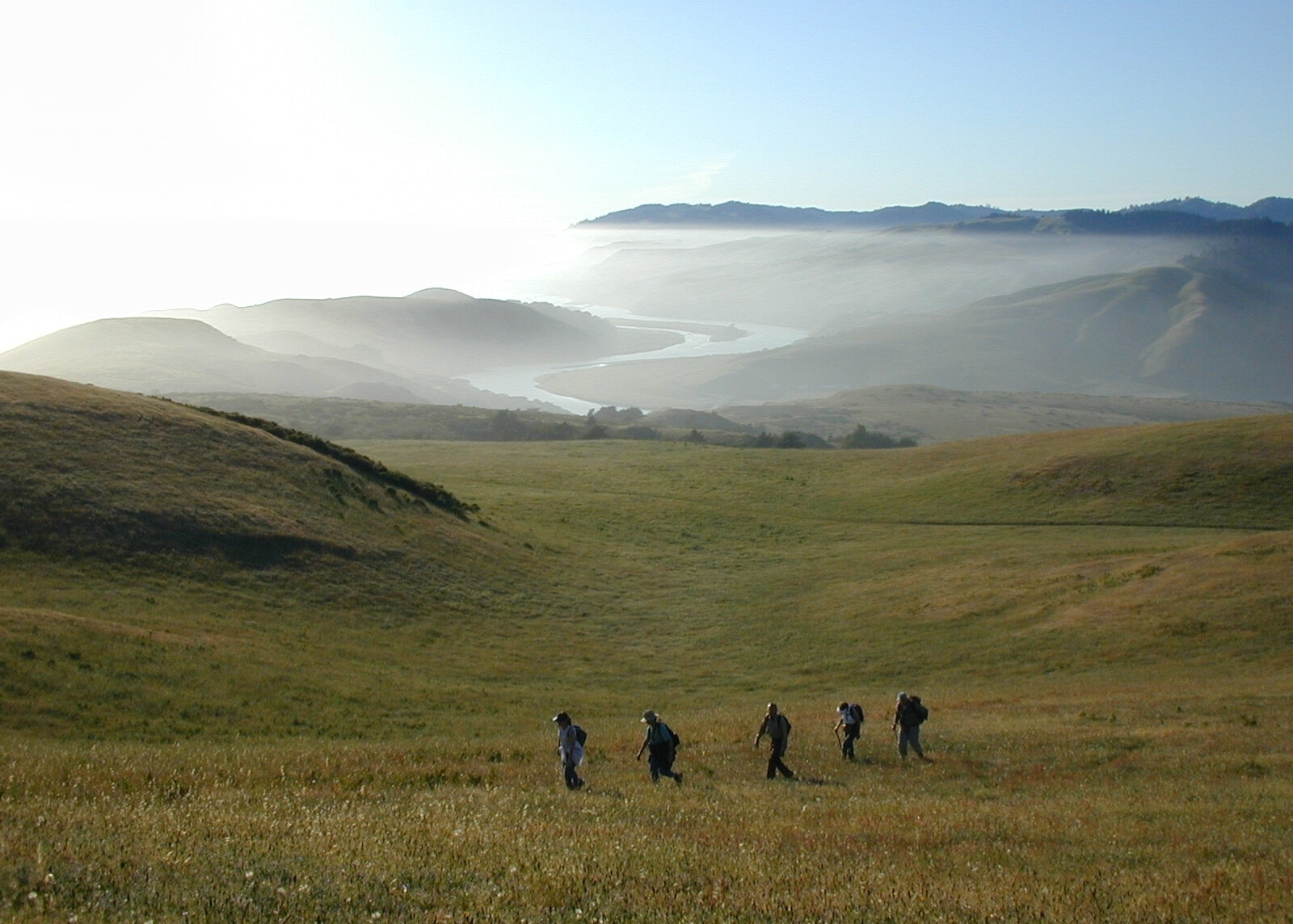 Five hikers crossing a green field with mist and hills in the background.