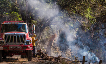 My Neighborhood Wised Up to Fire