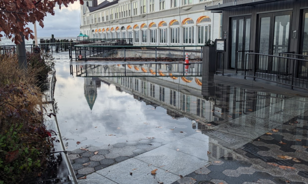 Rising Seas Bring the Cryosphere to NYC’s Battery Park City