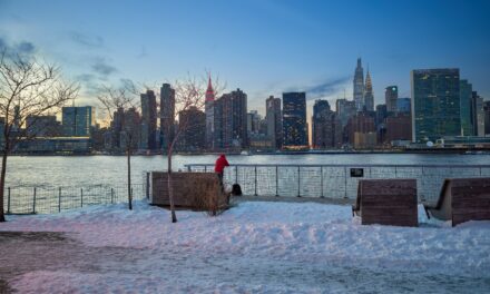 Storm Surge Resilience Jigsaw Confounds New York