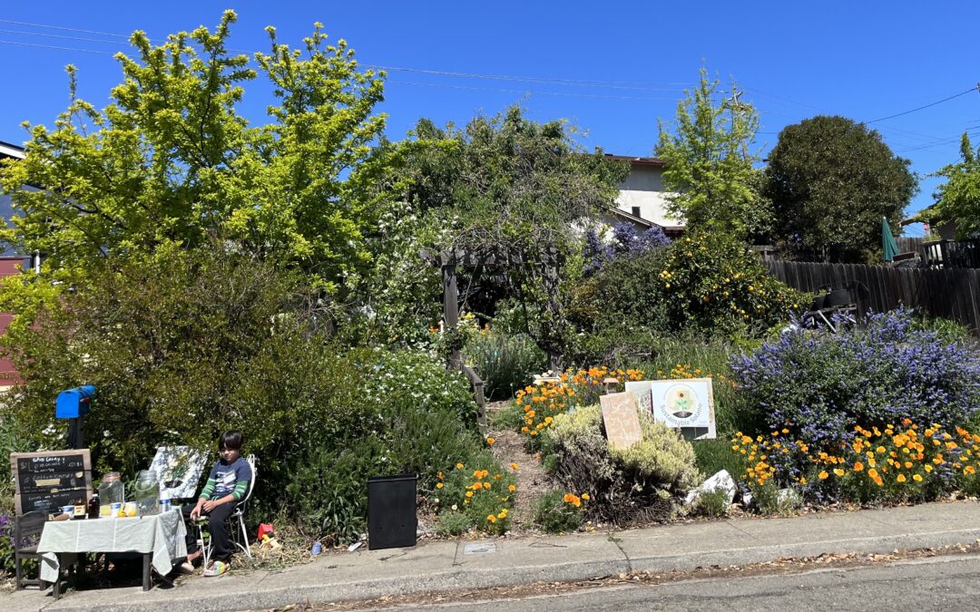 Food Forests Green Solano