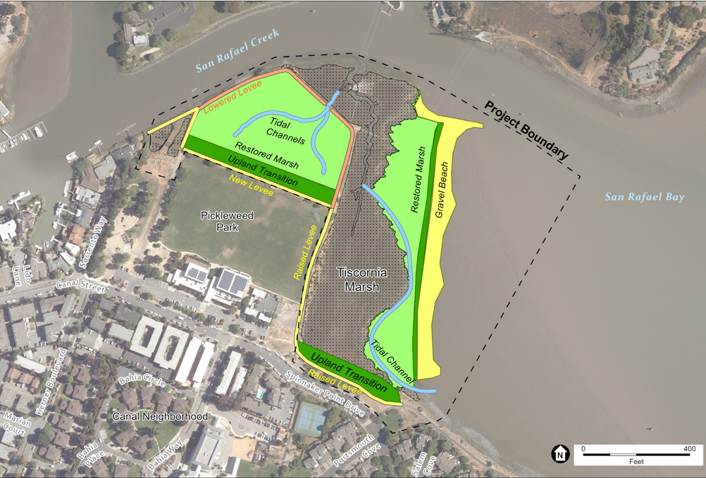 Plans for Tiscornia Marsh would reconstruct four acres of eroded tidal marsh, preserve eight remaining acres of marsh, and restore five acres of diked marsh by reconnecting it to the tides. In addition, the project would construct a new 600-foot setback levee and improve 1,100 feet of shoreline levee. Source: ESA.