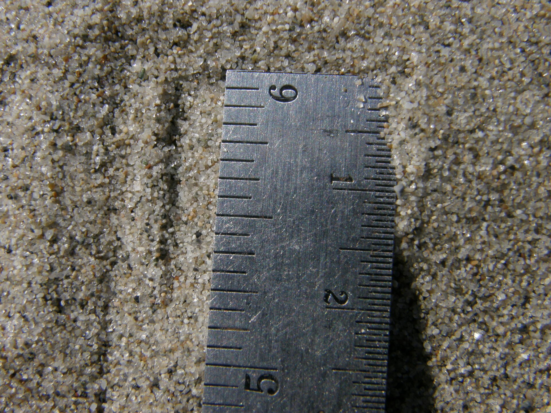 Fine sand and quartz particles common to the region and bay fill. Photo: Peter Baye.