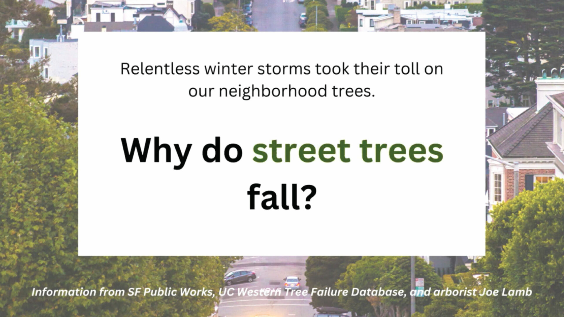 Why do Street Trees Fall?