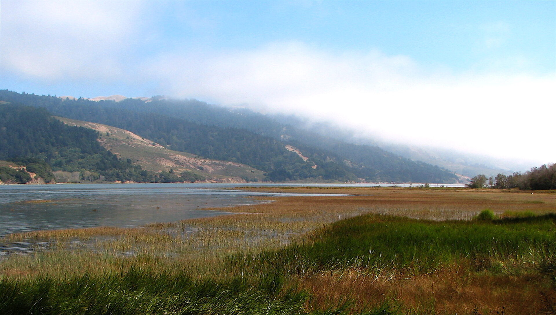 Bolinas lagoon. Photo: Marin County Parks.