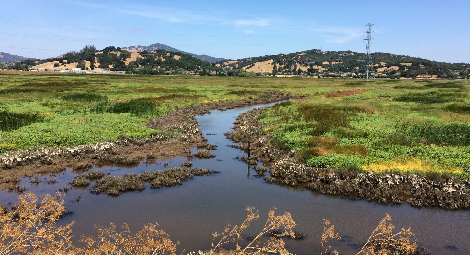 Bolinas lagoon. Photo: Marin County Parks.