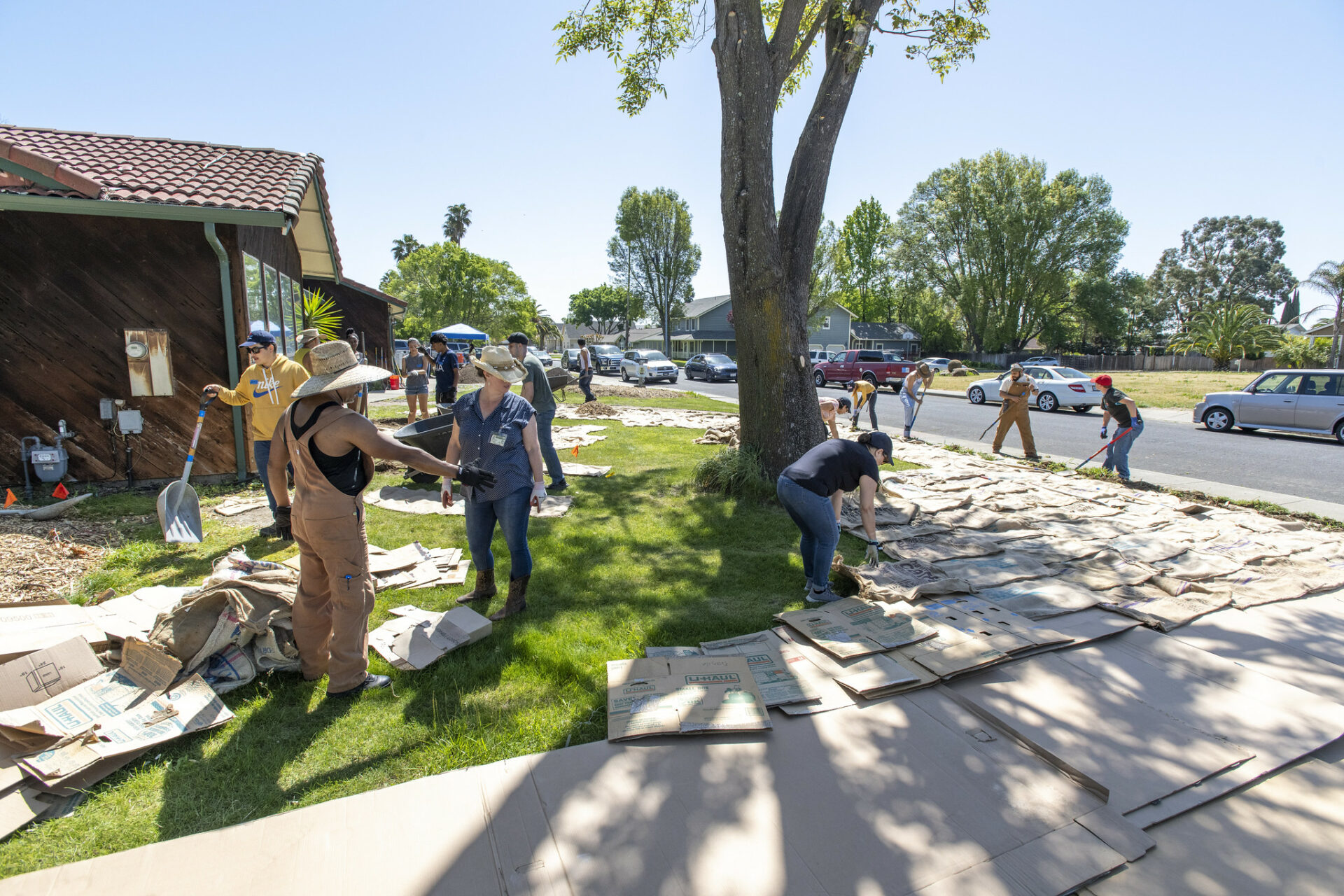 Crew and nieghbors working with Sustainable Solano replace a lawn with a more resilient landscape. Photo: Karl Nielson.