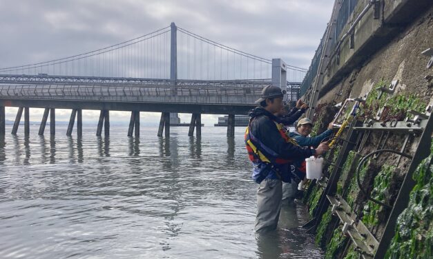 Who’s on First at the SF Seawall?