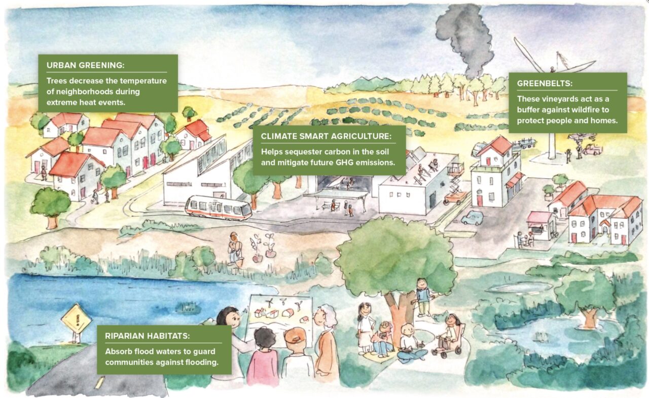 Cartoon from resilience playbook of climate resilient living.