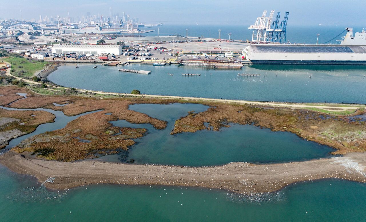 photo of heron's head park in San Francisco