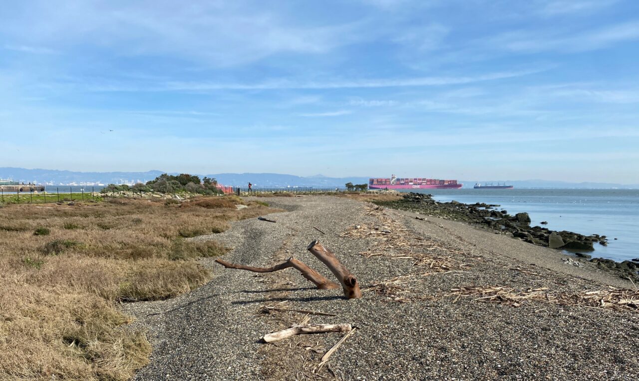 heron's head coarse gravel beach photo