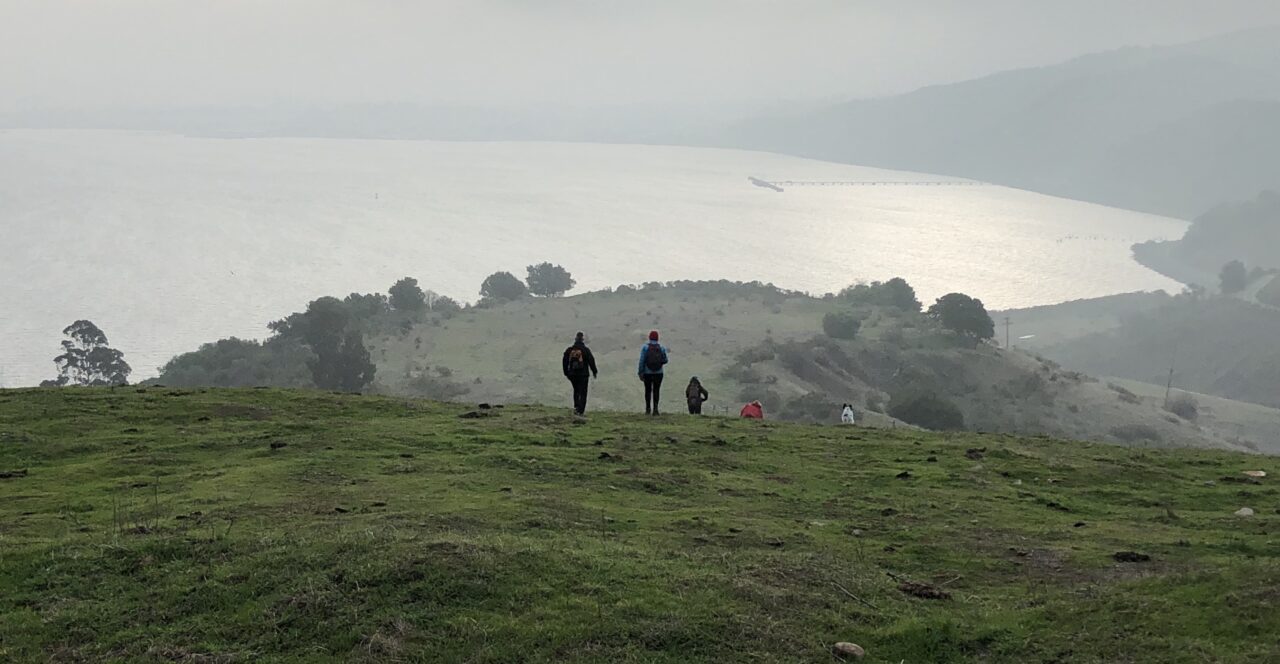 hikers on marin county hill