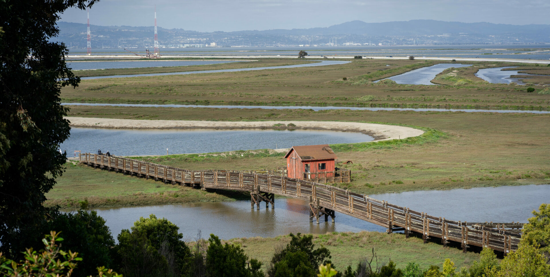 Newark shoreline photo with bride trail by Shira Bezalel