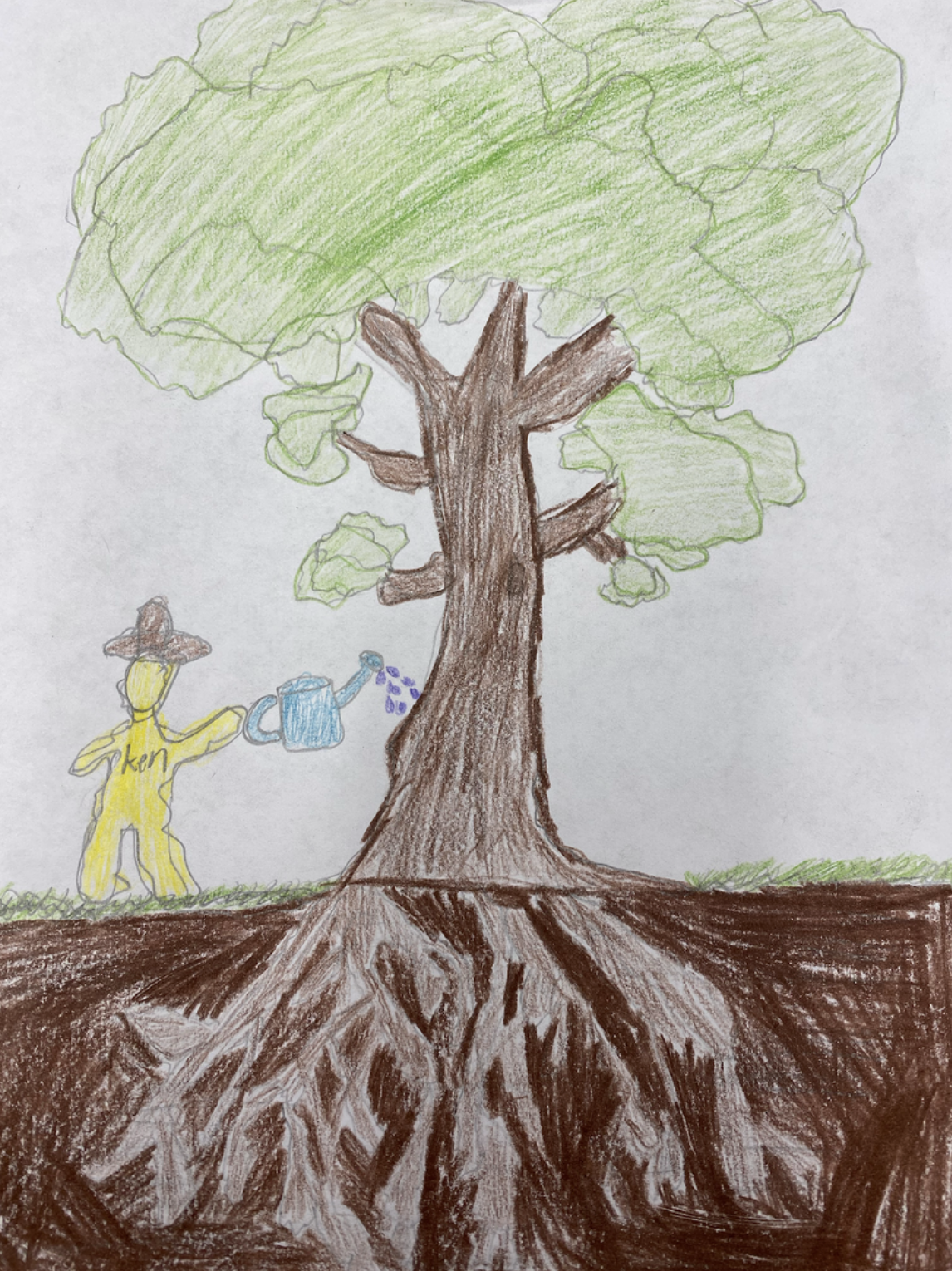 drawing of a big tree with roots being watered by a man