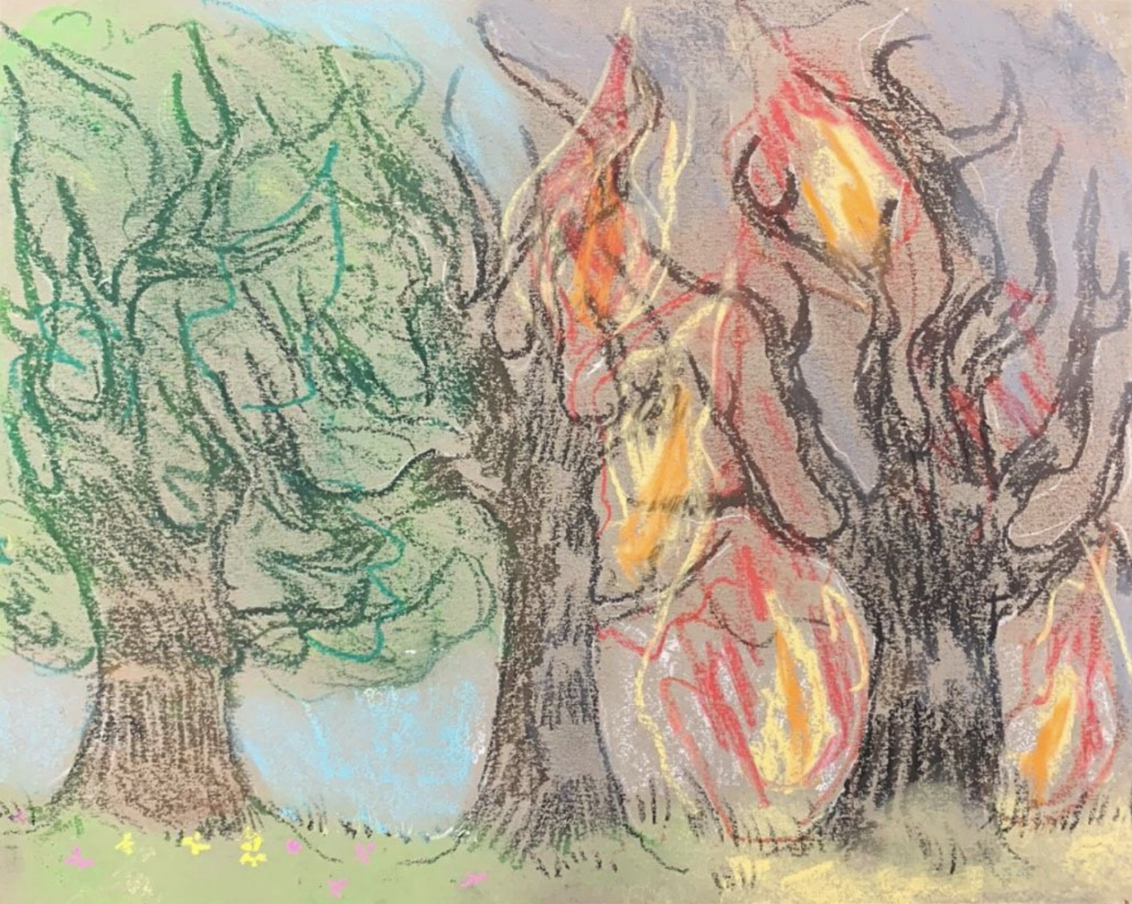 forest fire art by high school student