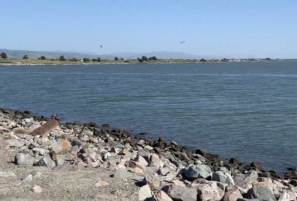 picture of water and rip rap at Marina Park