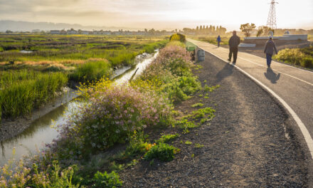 Optimizing the Health Benefits of Urban Greens