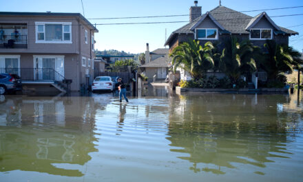 Canal Residents Wade into Citizen Science