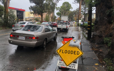 A Fix for Old Drains, Old Trees with New Rainfall