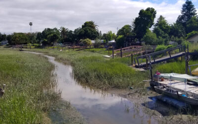 100+ Easements for One Flood Wall?